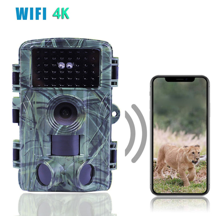 Discover the Ultimate Wildlife Monitoring Tool