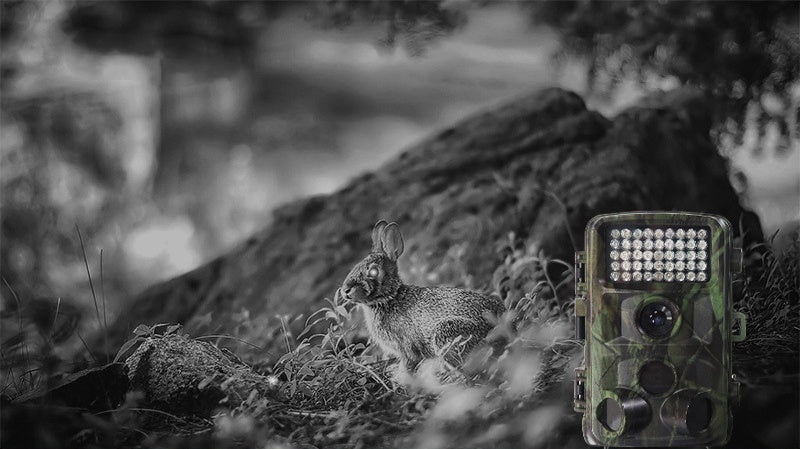 Wildlife Hunting Trail Camera