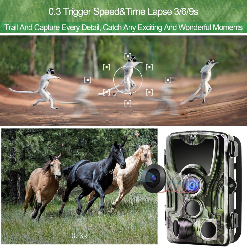 HC801A Hunting Trail Camera